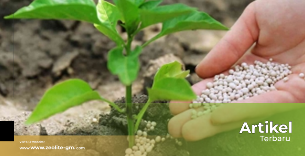 artikel Zeolite Global Mandiri 2