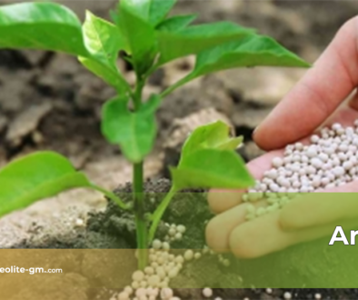 artikel Zeolite Global Mandiri 2