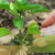 artikel Zeolite Global Mandiri 2