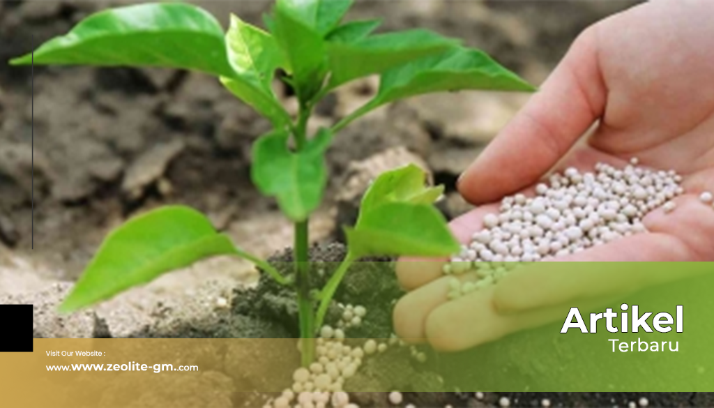 artikel Zeolite Global Mandiri 2